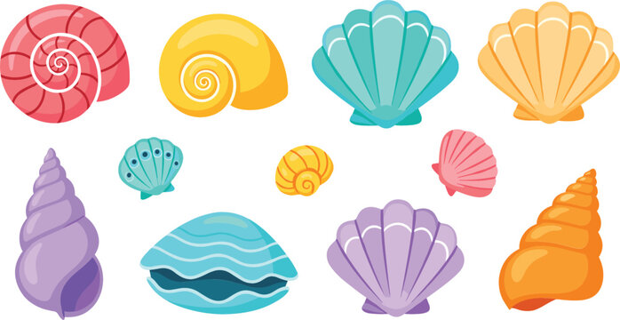 Colorful seashell collection with spiral conch scallop and clam shells, vibrant beach ocean elements set for summer design and marine vector illustration