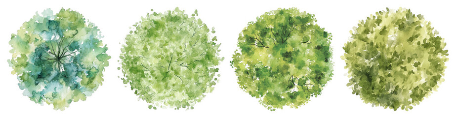 Naklejka premium PNG Watercolor tree top views on transparent background