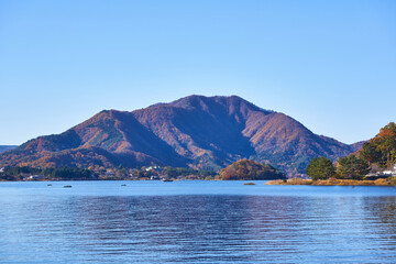山梨県 河口湖の紅葉