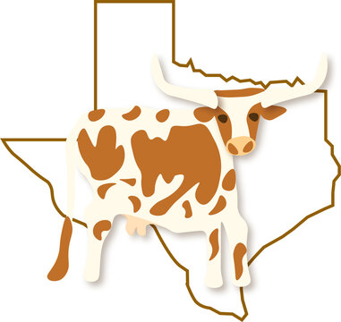 State of Texas Large Mammal Longhorn