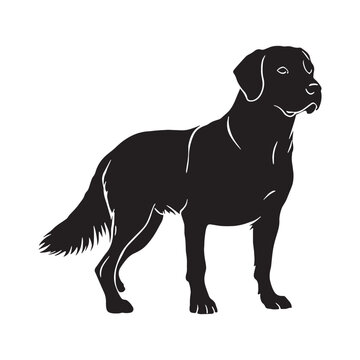 Akbash Dog &ndash; Loyal Turkish Livestock Guardian, Powerful White Shepherd Breed, Intelligent Protector, Brave Farm Dog, Calm Temperament, Family Friendly, Working Guardian, Rare Herding Dog, Strong.