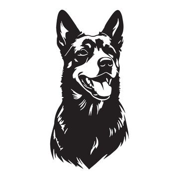 Akbash Dog &ndash; Loyal Turkish Livestock Guardian, Powerful White Shepherd Breed, Intelligent Protector, Brave Farm Dog, Calm Temperament, Family Friendly, Working Guardian, Rare Herding Dog, Strong.