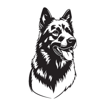 Akbash Dog &ndash; Loyal Turkish Livestock Guardian, Powerful White Shepherd Breed, Intelligent Protector, Brave Farm Dog, Calm Temperament, Family Friendly, Working Guardian, Rare Herding Dog, Strong.