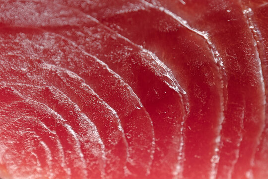 A piece of tuna in close-up. A large piece of fresh red tuna. Macro photography. An image of one large steak of fresh tuna is presented. Natural omega.