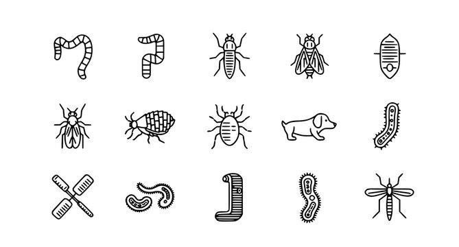 A set of black and white vector icons depicting various insects and worms in a minimalist line art style