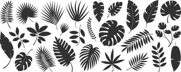 Silhouette tropical exotic leaves, palm monstera banana fern foliage, botanical illustration, black leaf shapes, nature design, decorative pattern, artistic background © MdAriful