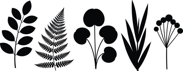 Botanical leaf silhouette collection featuring fern fronds, tropical leaves, eucalyptus, forest plants, elegant nature vector icons set for wedding decoration. © PaponKumar