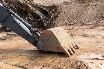 An excavator bucket rests on muddy ground at a site where tropical forest has been cleared. In the background, a large uprooted tree trunk is visible, highlighting environmental impact. © VikSid