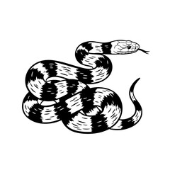 Fototapeta premium Black and white illustration of a coiled snake in a natural pose 