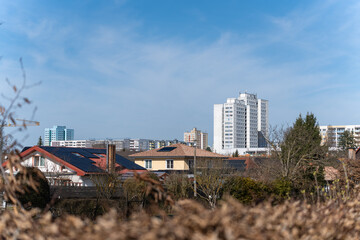 Fototapeta premium Clear blue sky above city skyline. Modern buildings stand behind residential rooftops. Trees and dry grass frame the foreground. Urban landscape viewed from a distance