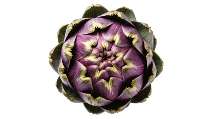 Obraz premium Isolated fresh raw artichoke with vibrant purple and green leaves, perfect for healthy gourmet food.