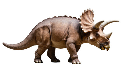 Isolated Triceratops dinosaur, majestic horned herbivore from the late Cretaceous period © Rowan