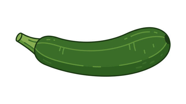 A green squash vegetable is depicted as a courgette icon set against a white background, showcasing a fresh raw plant that is natural, healthy, and illustrated in flat vector style as a whole