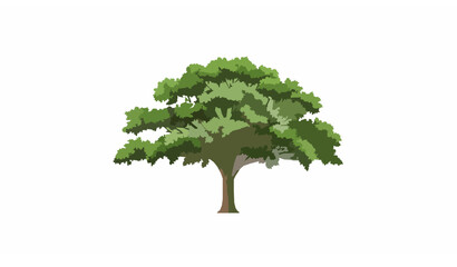 Obraz premium Eco Friendly Tree Illustration Realistic Nature Vector Design