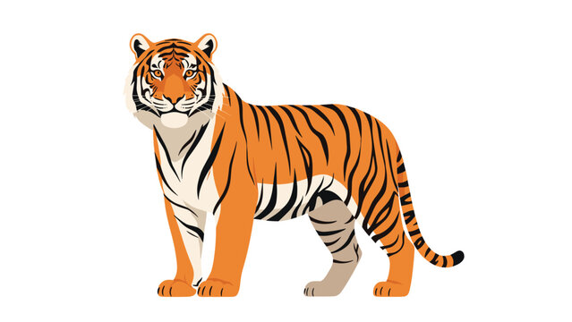 Large majestic tiger with orange and black stripes standing in a profile view against a plain white background.
