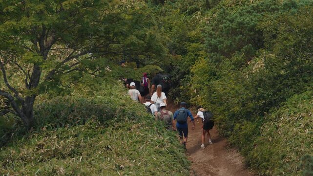 Big mixed group of hikers walk on the path in the wild area