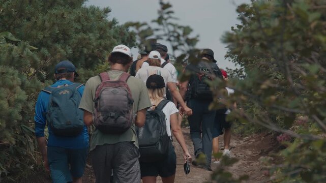 Big mixed group of hikers walk on the path in the wild area