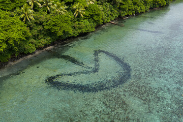 Fototapeta premium An ancient fish trap made of volcanic stones is found on a reef flat at Makogai Island in Fiji. Fish traps such as these have been in place for generations. They trap reef fish as the tide drops.