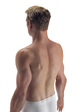 A Detailed Depiction Of The External Features Of The Body Of A Man