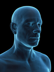 Comprehensive 3D Depiction Highlighting The Head Of A Man © Sebastian Kaulitzki