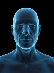 Detailed 3D Rendering Highlighting The Head Of A Male © Sebastian Kaulitzki