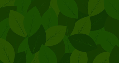 sfondo, foglie, foglia, natura, vivaio, piante, 