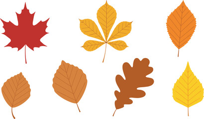 Autumn Leaf Collection with Maple, Oak, Birch, and Chestnut Leaves in Warm Fall Colors, Perfect for Fall Designs, Seasonal Decor, and Nature Themes