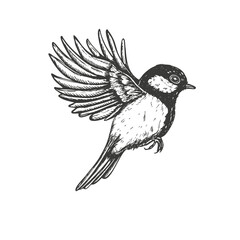 Flying titmouse vector isolated illustration painted by black inks. Hand drawn great tit in flight outline drawing. Monochrome bird with wings spread open graphic sketch. Wildlife conservation design © Masha_tolk_art