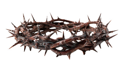 Fototapeta premium Crown of thorns detailed realistic style, soft shadows, sacred symbolism, isolated on a white background