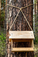 Handmade Wooden Bird Feeder Hanging On Pine Tree In Forest With Thick Rope