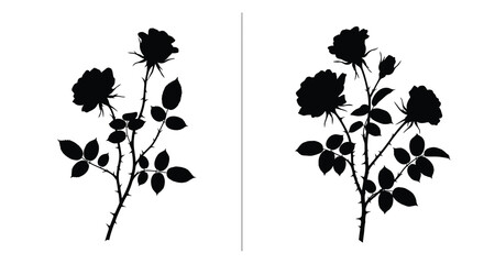 Floral arrangements of roses displayed in a striking black silhouette © MD