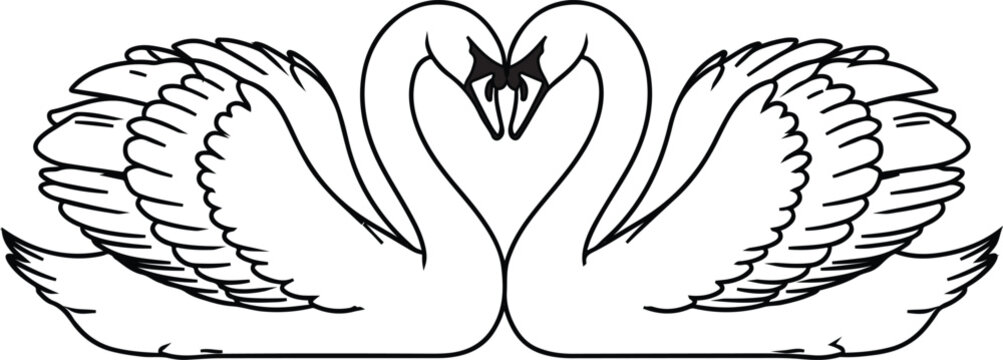 A black and white illustration of two swans forming a heart with their necks facing each other in a romantic gesture