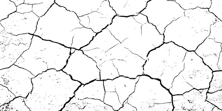 Organic cracked earth texture with natural fracture lines in bold monochrome, ideal for geological themes, decay concepts, or rustic background elements.	