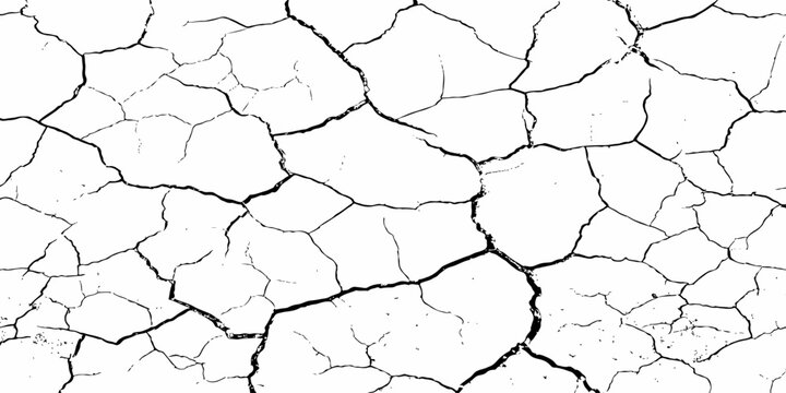 Organic cracked earth texture with natural fracture lines in bold monochrome, ideal for geological themes, decay concepts, or rustic background elements.	