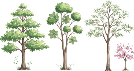 Collection of realistic forest trees including leafy green trees and blooming spring tree botanical vector illustration set © Sumon Creative
