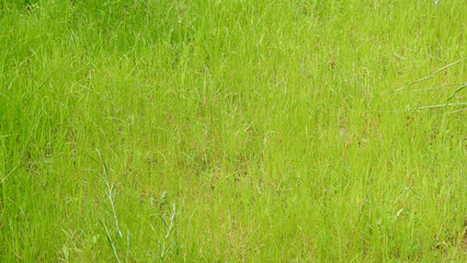 Vedute della Sardegna