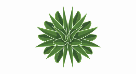 Fototapeta premium A detailed, top-down illustration of a vibrant green succulent plant with pointed leaves