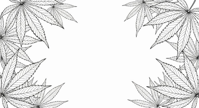 Decorative border of hand-drawn cannabis leaves in a sketch style