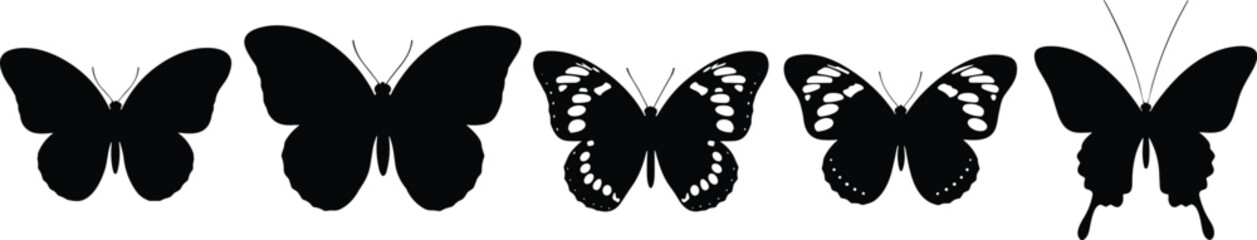 Butterfly silhouettes collection isolated vector set different butterfly shapes wings insect design elements for nature tattoo decoration illustration © Josna