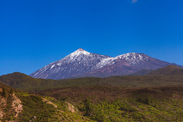 Fototapeta premium Mount Teide Volcano and Green Valley Landscape in Teide National Park, Tenerife, Canary Islands