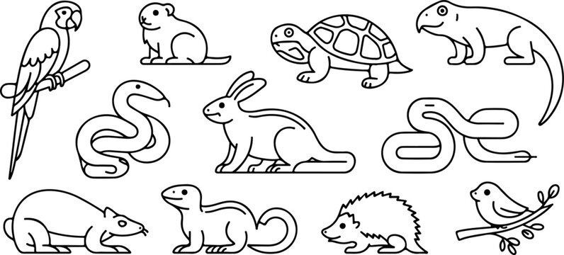 Exotic pet animal linear icon set featuring tropical parrot snake turtle rabbit hamster hedgehog and lizard
