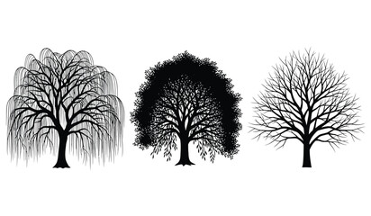 A collection of three distinct tree silhouettes displayed as minimalist black ink line drawings © rsvect02