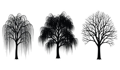A collection of three distinct tree silhouettes showing different foliage and branching patterns © rsvect02