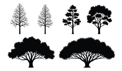 A collection of various tree silhouettes displaying different foliage densities and growth patterns © rsvect02