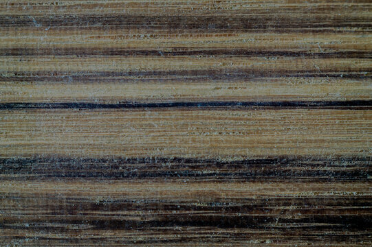 Extreme close up macro photograph of ovangkol hardwood timber showing distinctive natural grain pattern. Smooth planed wood surface, untreated, unfinished and unsanded. Natural exotic hardwood texture