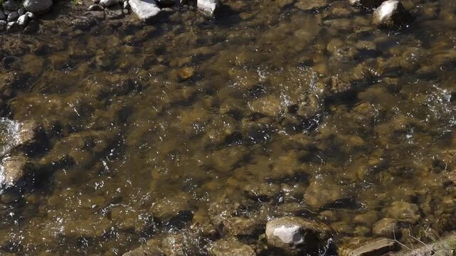 Slow motion river. High angle view. Rouge Valley, Scarborough, Ontario, Canada. HD.