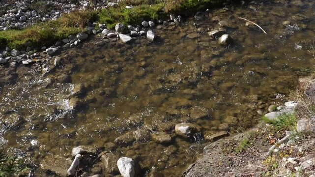 Slow motion river. High angle view. Rouge Valley, Scarborough, Ontario, Canada. HD.