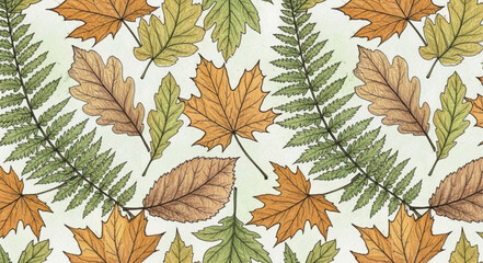 Autumn leaves pattern with maple and fern foliage. © Samsul