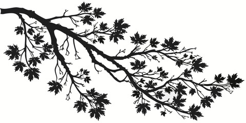 A detailed illustration of a tree branch with leaves extending outward © Mamun