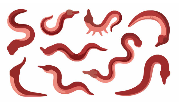 Cute creepy cartoon leech worms set aquatic parasite creatures from rivers and lakes vector illustration